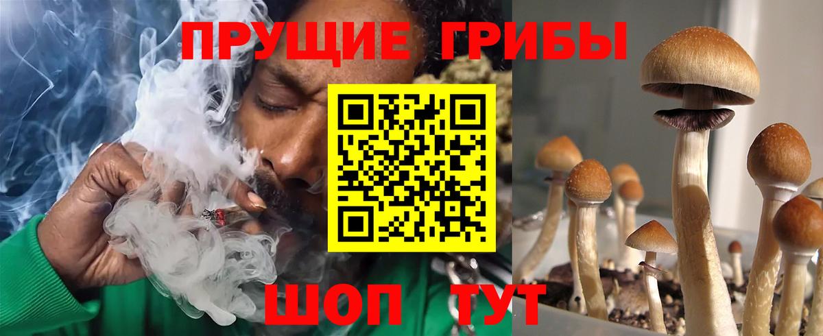 Галлюциногенные грибы мицелий Аша